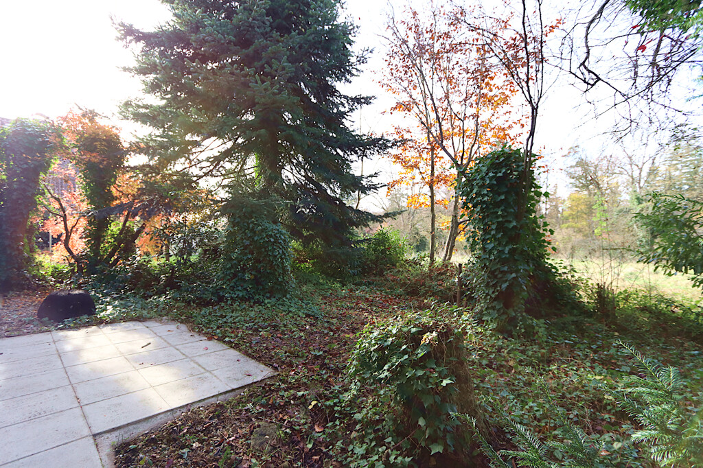 Garten + Terrasse