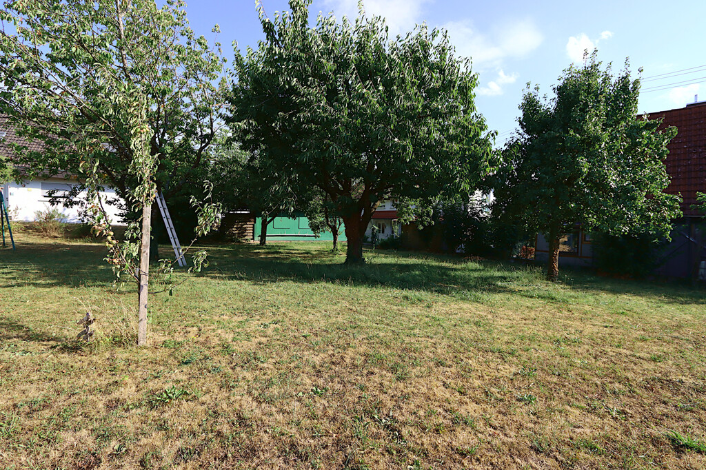 Gemeinschaftsgarten